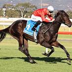 colossal bet australia